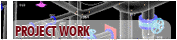 Project work